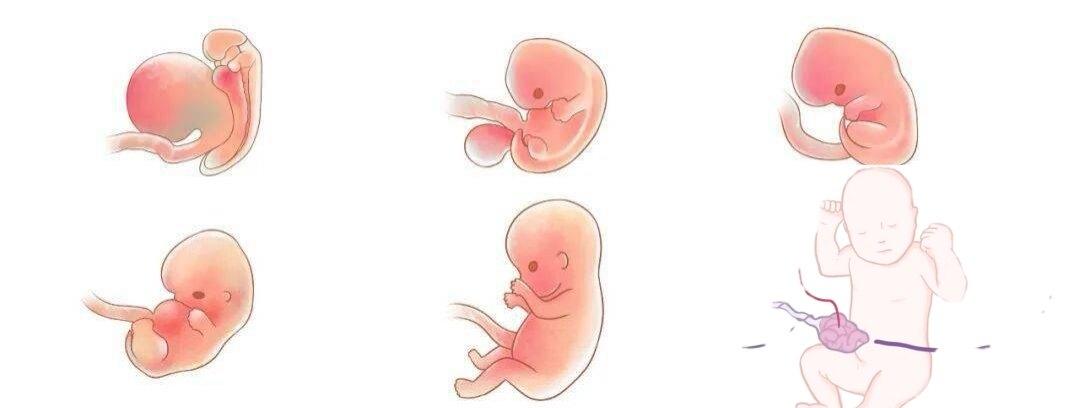 每日 一题_2023.03.20