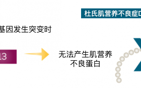 每日一题_2023.03.08