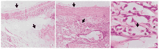 每日一题_2023.03.19