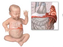 每日一题_2023.03.07