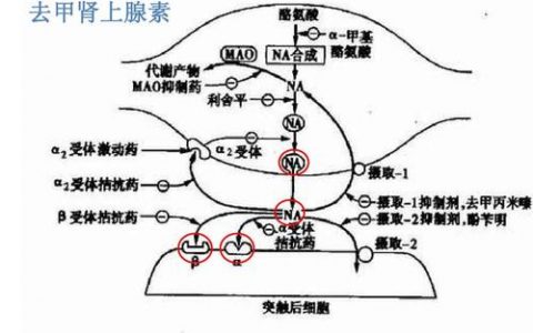 每日一题_2023.03.29