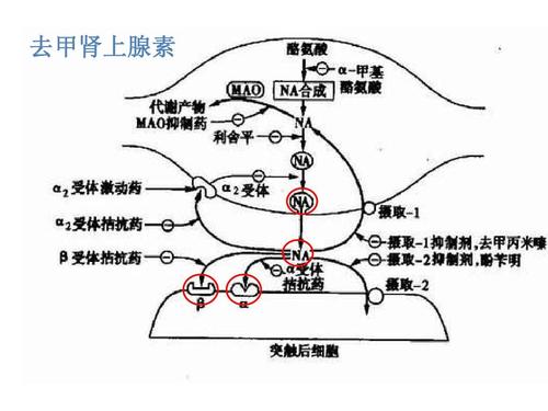 每日一题_2023.03.29