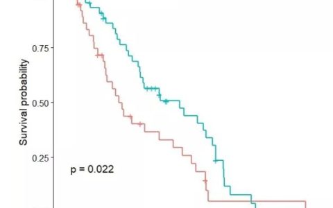 R语言统计分析与机器学习-R包