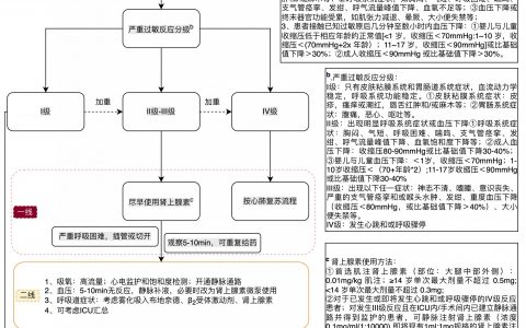 严重过敏反应的抢救流程图