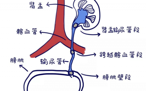 每日一题_2023.04.18