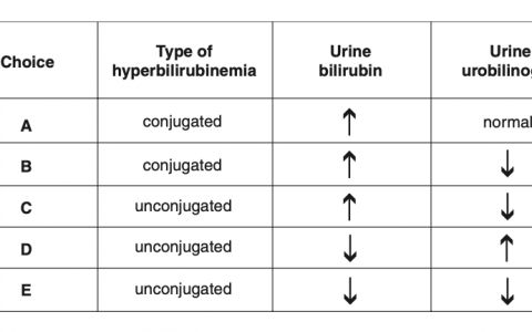 每日一题_2023.04.25