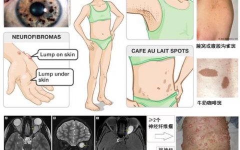 每日一题_2023.04.12