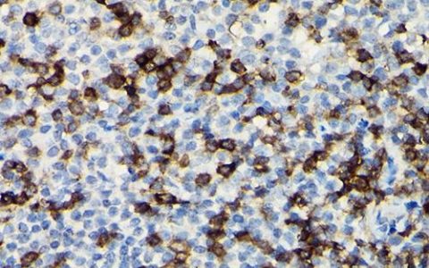 每日一题_2023.04.05