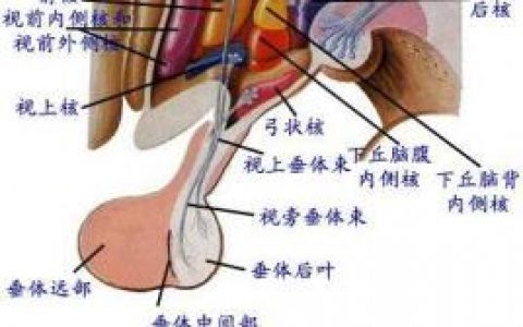 每日一题_2023.04.09
