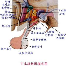 每日一题_2023.04.09