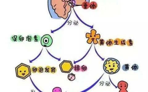 每日一题_2023.04.03