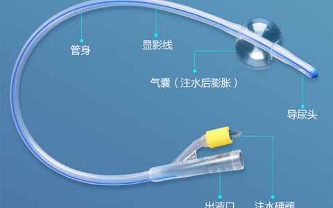 每日一题_2023.04.08