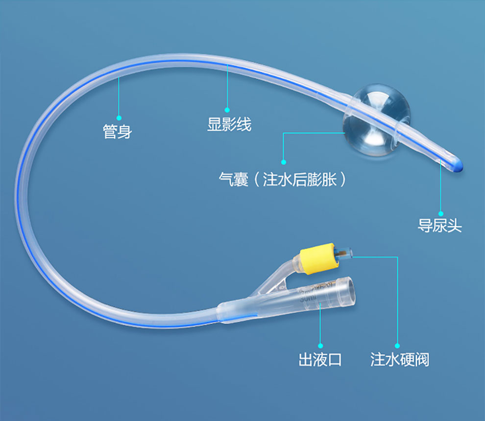 每日一题_2023.04.08