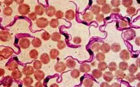 每日一题_2023.04.15