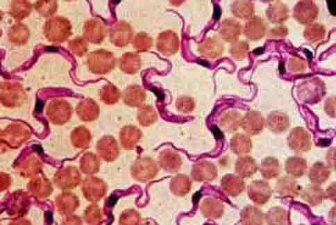 每日一题_2023.04.15