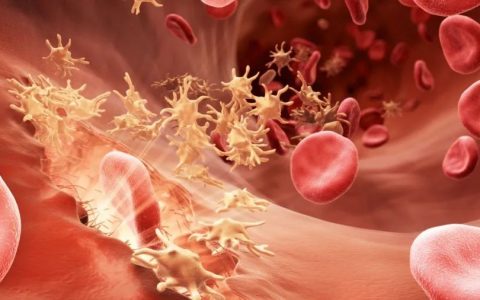 每日一题_2023.04.11