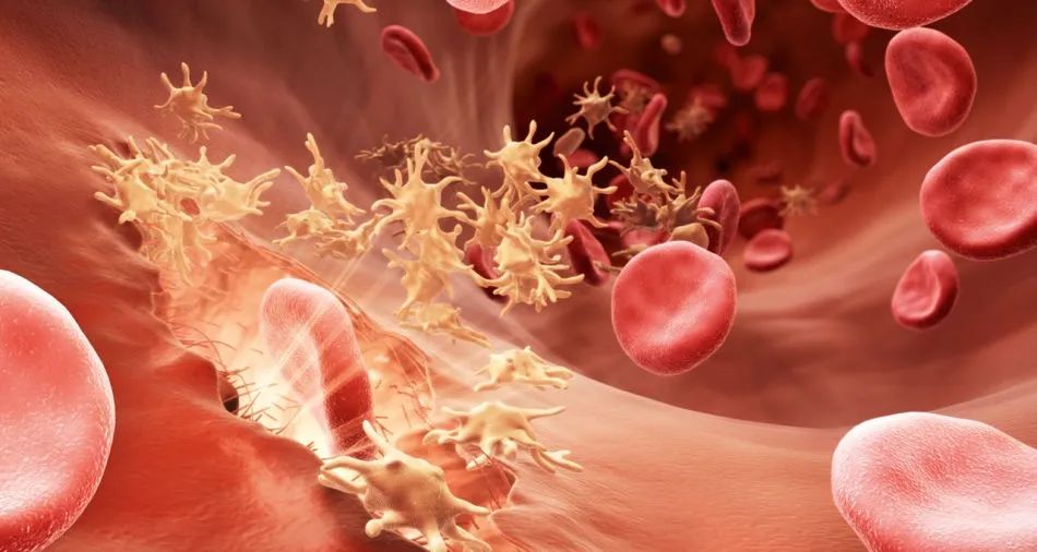 每日一题_2023.04.11