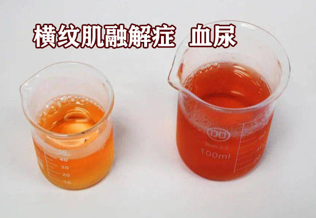 每日一题_2023.05.06