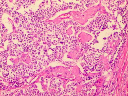 每日一题_2023.05.10