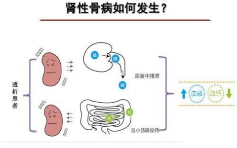 每日一题_2023.05.04