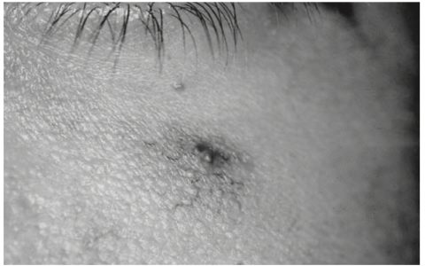 每日一题_2023.04.30