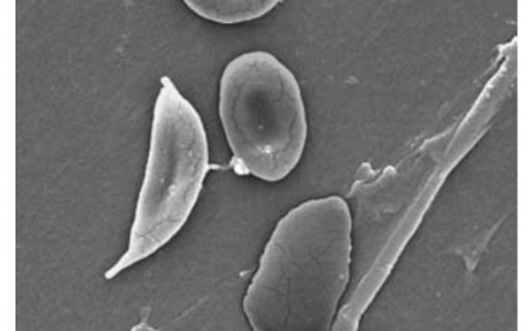 每日一题_2023.05.01