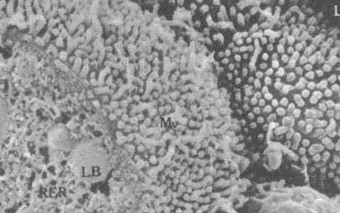 每日一题_2023.05.13
