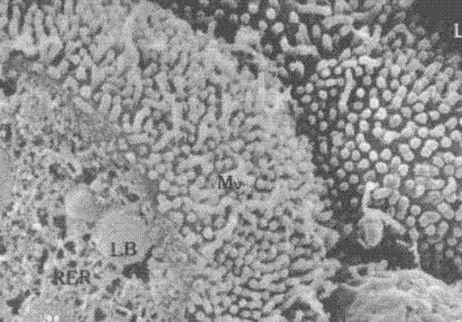 每日一题_2023.05.13