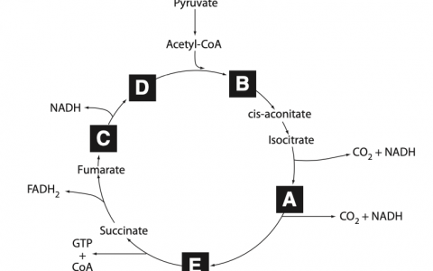 每日一题_2023.05.23
