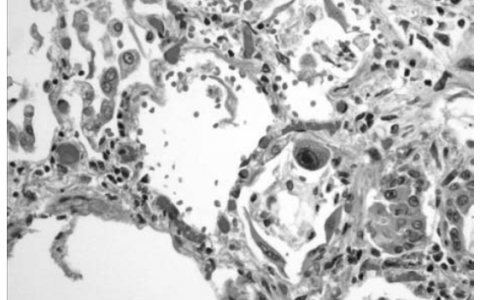 每日一题_2023.05.27