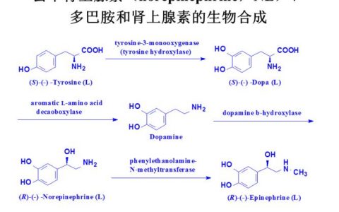 每日一题_2023.05.12