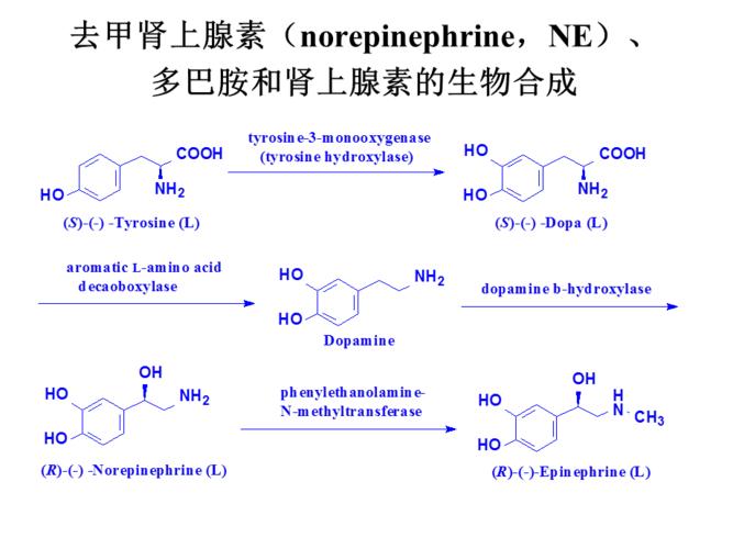每日一题_2023.05.12