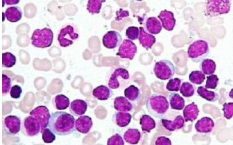 每日一题_2023.05.08