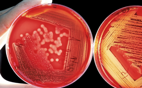 每日一题_2023.05.15