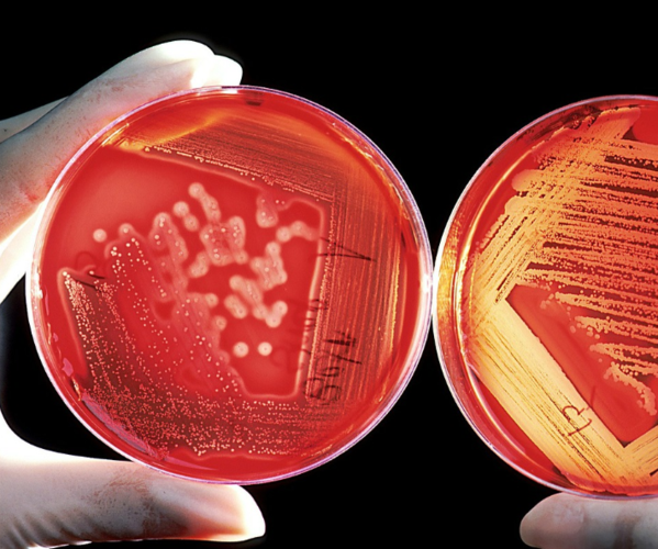 每日一题_2023.05.15