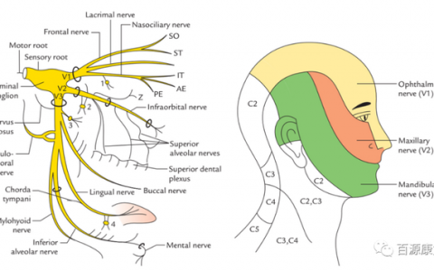 每日一题_2023.05.17