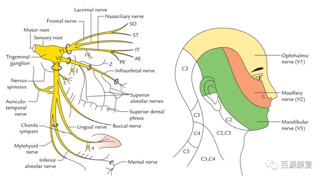 每日一题_2023.05.17