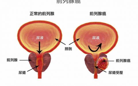 每日一题_2023.05.29