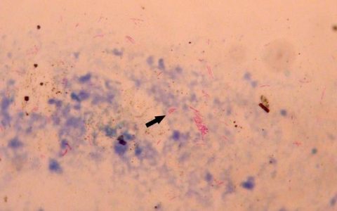 每日一题_2023.05.07