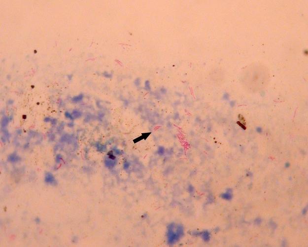 每日一题_2023.05.07