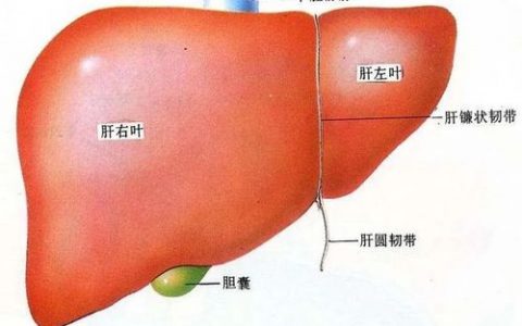 每日一题_2023.05.21