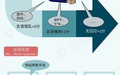 医学美图_格拉斯哥昏迷评分