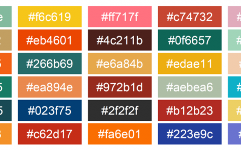 R语言科研数据可视化配色方案备选