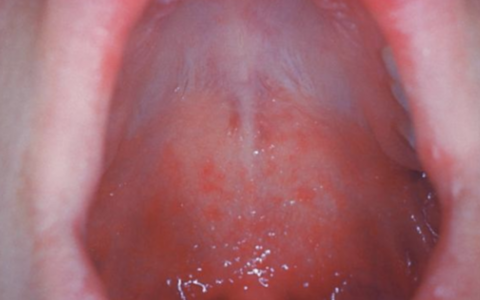 每日一题_2023.06.02