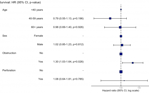 收藏！此R包可快速拟合Cox回归模型，出表格，生存曲线和HR森林图！