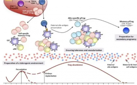 每日一题_2023.06.17