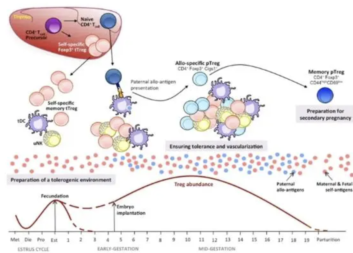 每日一题_2023.06.17