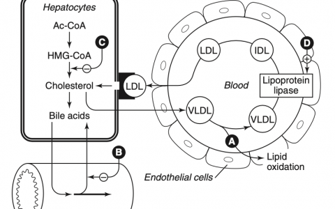 每日一题_2023.06.25