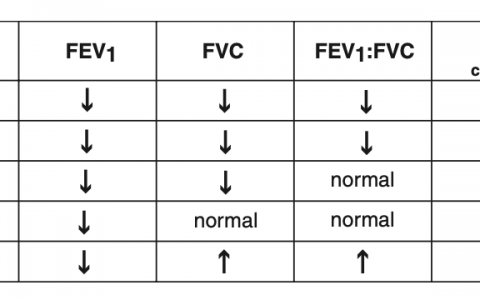 每日一题_2023.06.26