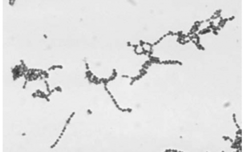 每日一题_2023.06.27